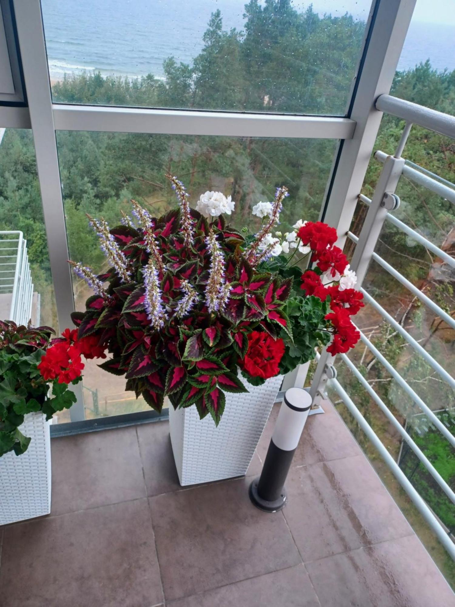 Apartament Z Widokiem Na Morze Dziwnówek Cameră foto